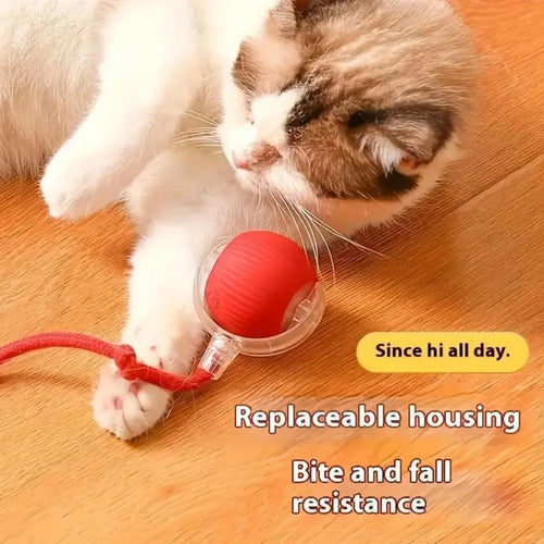 New Cat Interactive Ball Toy,Automatic Rolling Cat Ball Rechargeable,Smart Kitten Interactive Toy,Intelligent Balls Toy for Cat