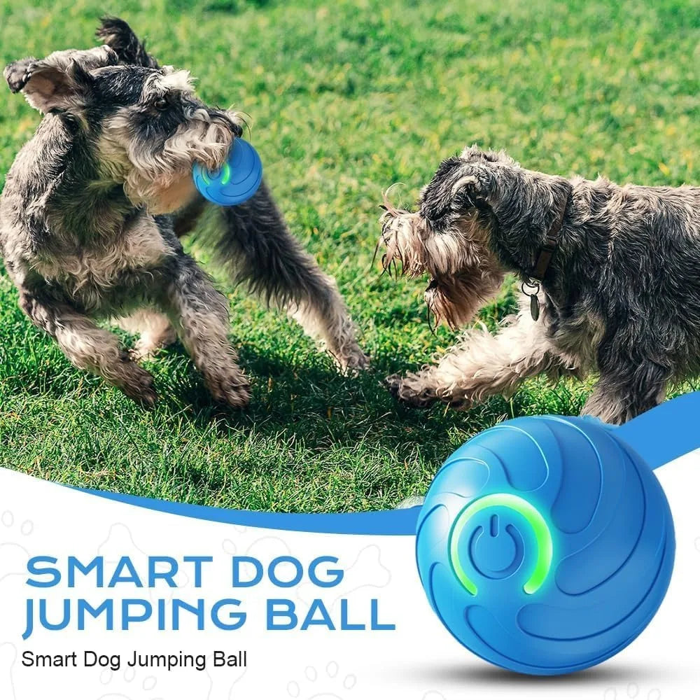 New Cat Interactive Ball Toy,Automatic Rolling Cat Ball Rechargeable,Smart Kitten Interactive Toy,Intelligent Balls Toy for Cat