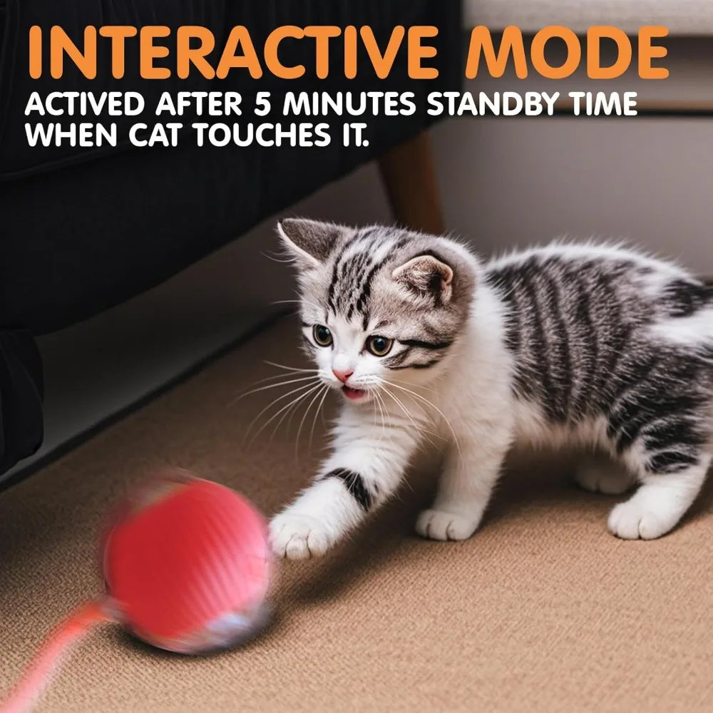 New Cat Interactive Ball Toy,Automatic Rolling Cat Ball Rechargeable,Smart Kitten Interactive Toy,Intelligent Balls Toy for Cat