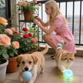 New Cat Interactive Ball Toy,Automatic Rolling Cat Ball Rechargeable,Smart Kitten Interactive Toy,Intelligent Balls Toy for Cat