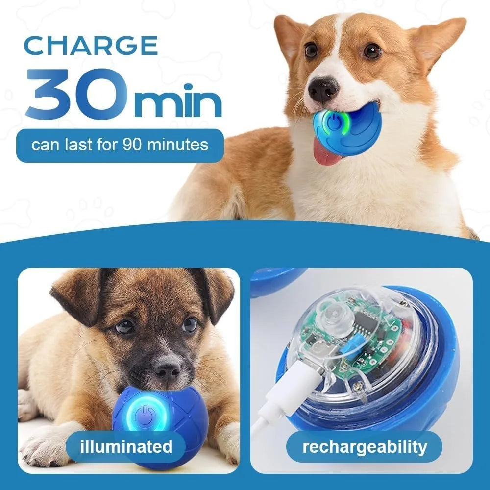 New Cat Interactive Ball Toy,Automatic Rolling Cat Ball Rechargeable,Smart Kitten Interactive Toy,Intelligent Balls Toy for Cat