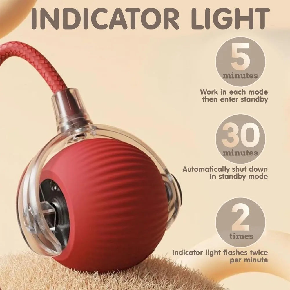 New Cat Interactive Ball Toy,Automatic Rolling Cat Ball Rechargeable,Smart Kitten Interactive Toy,Intelligent Balls Toy for Cat