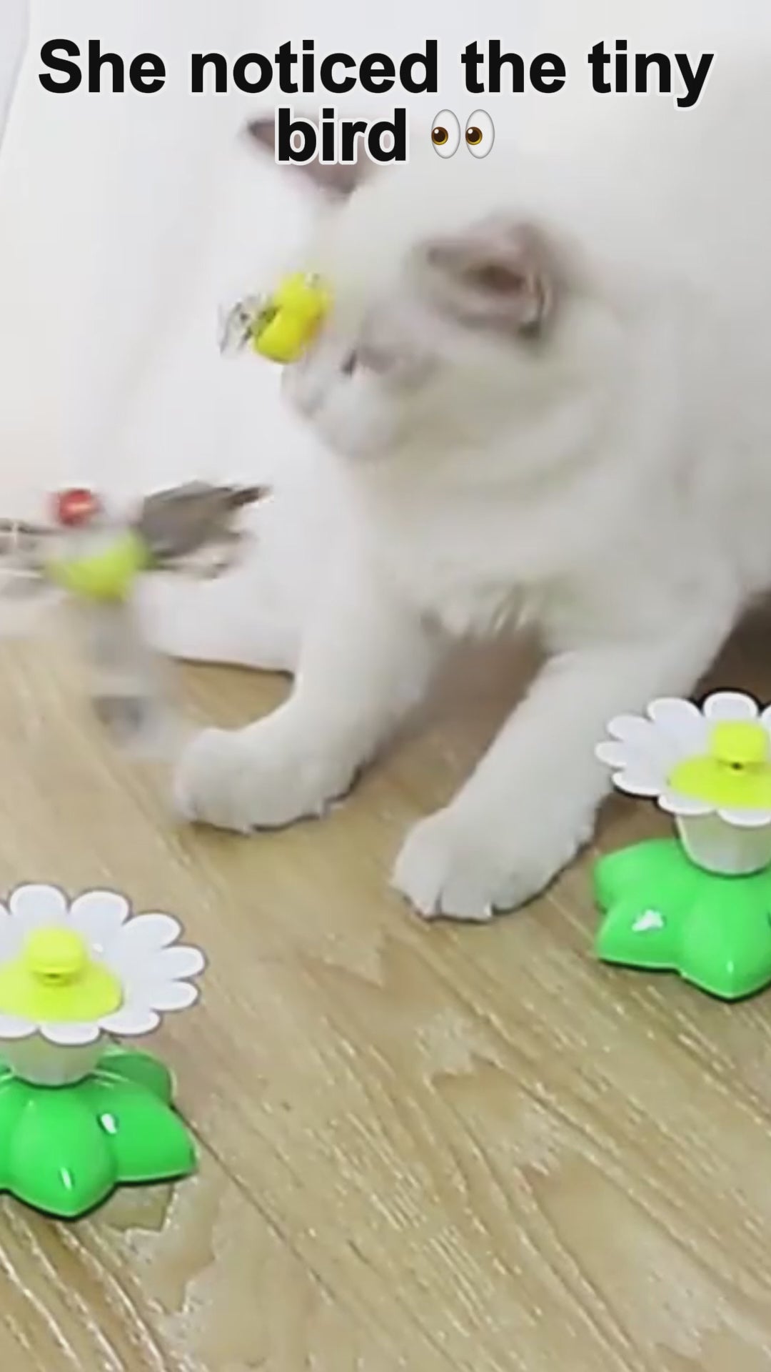 FeatherFly™ Interactive Bird Cat Toy